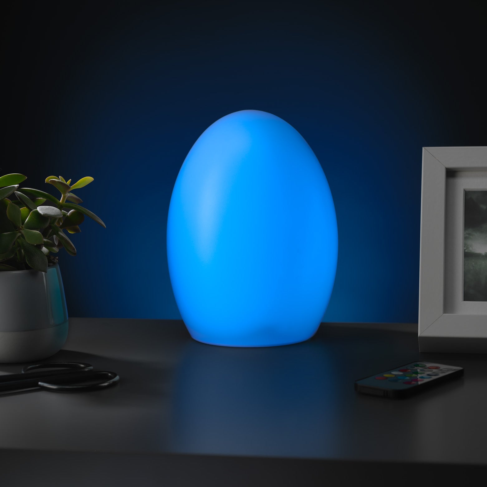 RED5 Home & Garden Mood Light With Remote Control