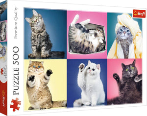 500pcs Jigsaw Puzzle Kittens - Gadget Station