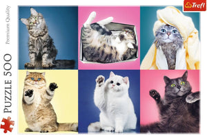 500pcs Jigsaw Puzzle Kittens - Gadget Station