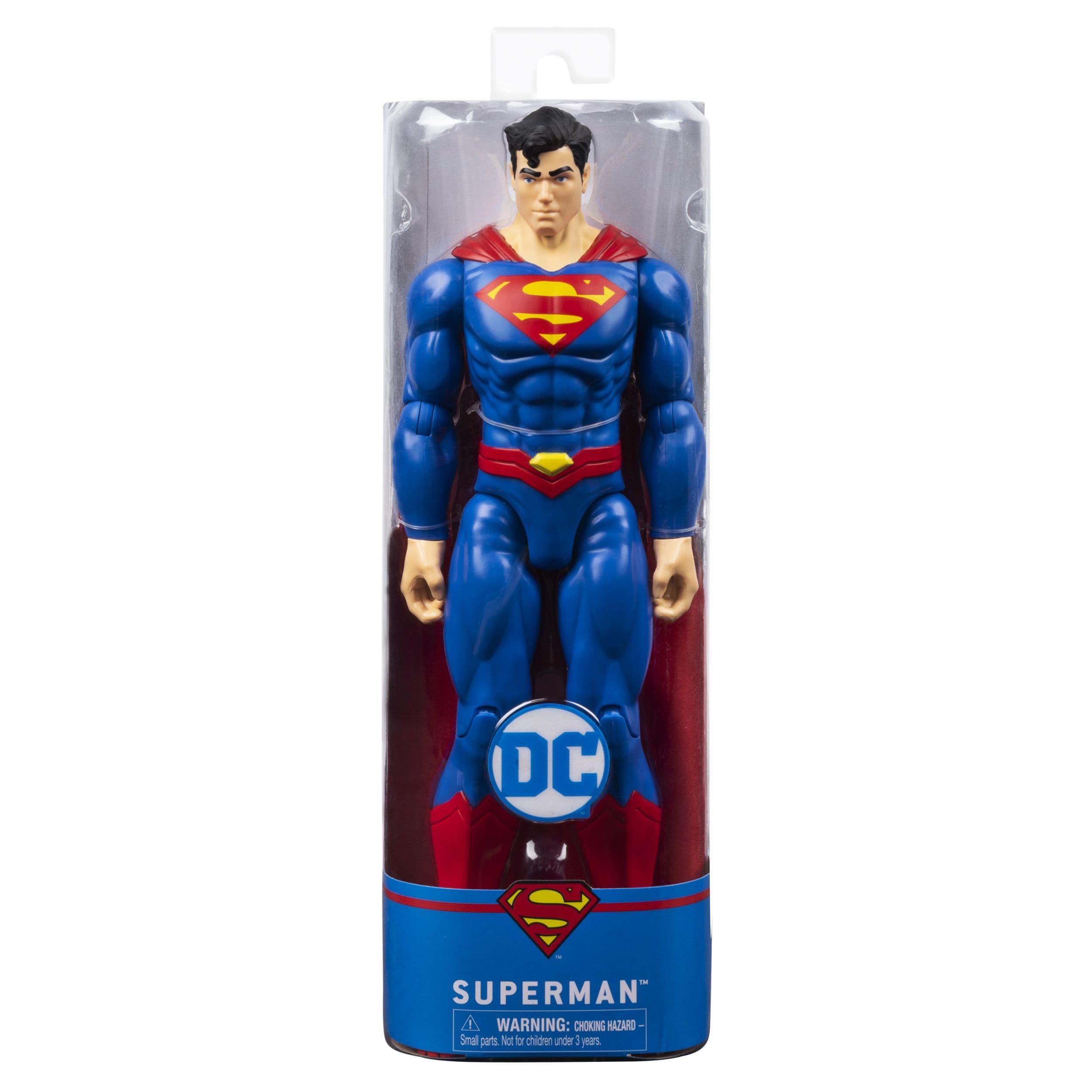 DC Universe 12in Figure Assorted - Random Delivery
