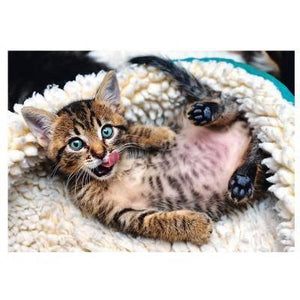 Trefl 1000 Piece Jigsaw Puzzle Cheerful Kitten - Gadget Station