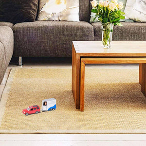 4 X 4 And Horse Box - Gadget Station