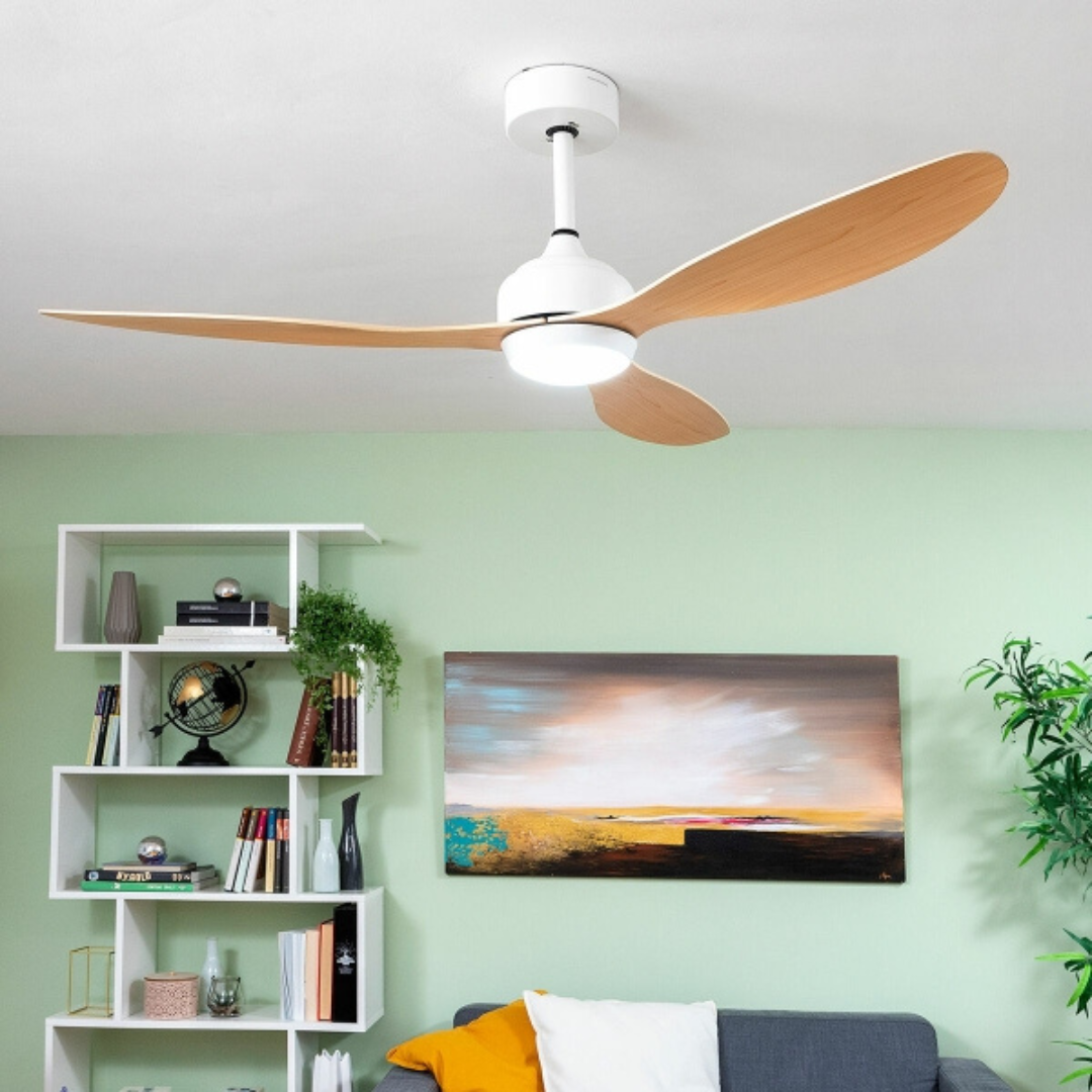 Ceiling Fan