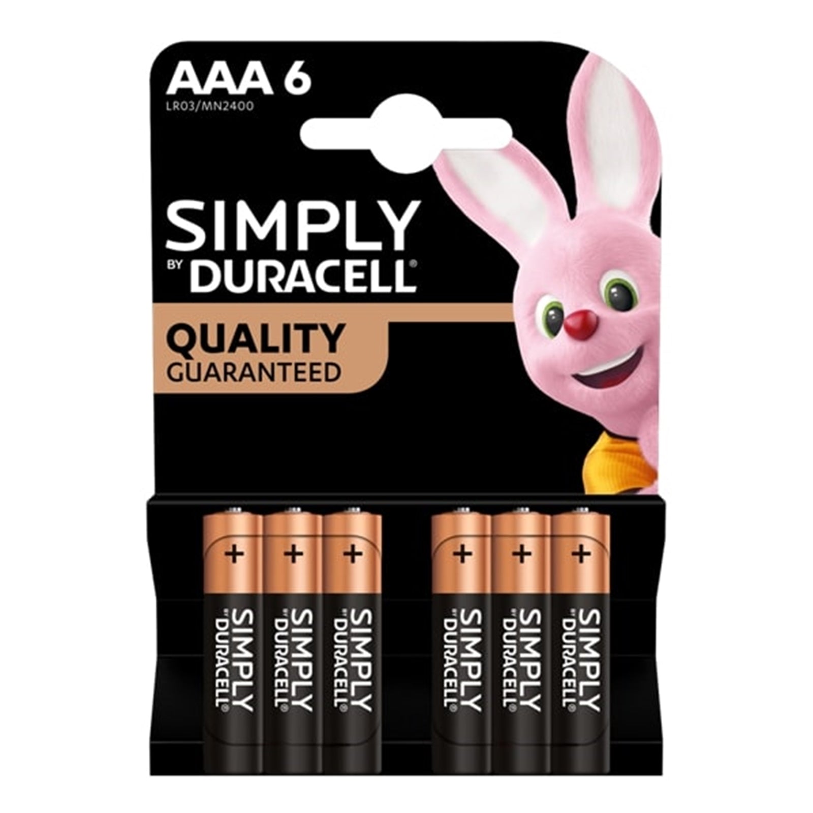 Duracell Simply AAA Alkaline Batteries Battery (Pack of 6)