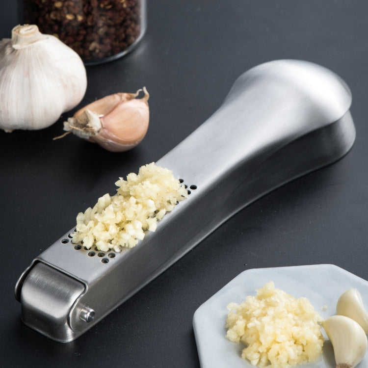 Stainless Steel Garlic Masher and Ginger Chopper