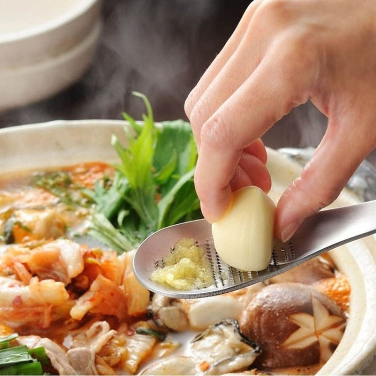 Thicken Stainless Steel Ginger Garlic Vegetable Puree Grinder with Spoon