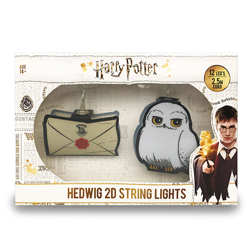 Letter Of Acceptance & Hedwig HP 2D String Lights