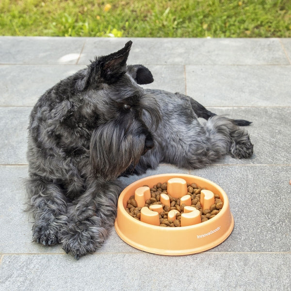 Slow Eating Food Bowl for Pets Slowfi